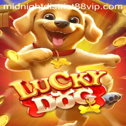 Dive into LuckyDog: MIDNIGHT DISTRICT 88